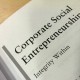 Photograph of the heading of Corporate Social Entrepreneurship by Christine A Hemingway