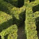 Hampton Court Maze. Photo: Amanda Slater via Creative Commons.