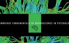 Cambridge Fundamentals of Neuroscience in Psychology