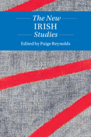 The New Irish Studies edited by Paige Reynolds
