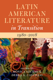 Latin American Literature in Transition 1980–2018 by Mónica Szurmuk and Debra A. Castillo