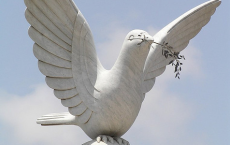Dove of Peace in Togo