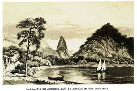 An illustration from Caldcleugh's 'Travels in South America'