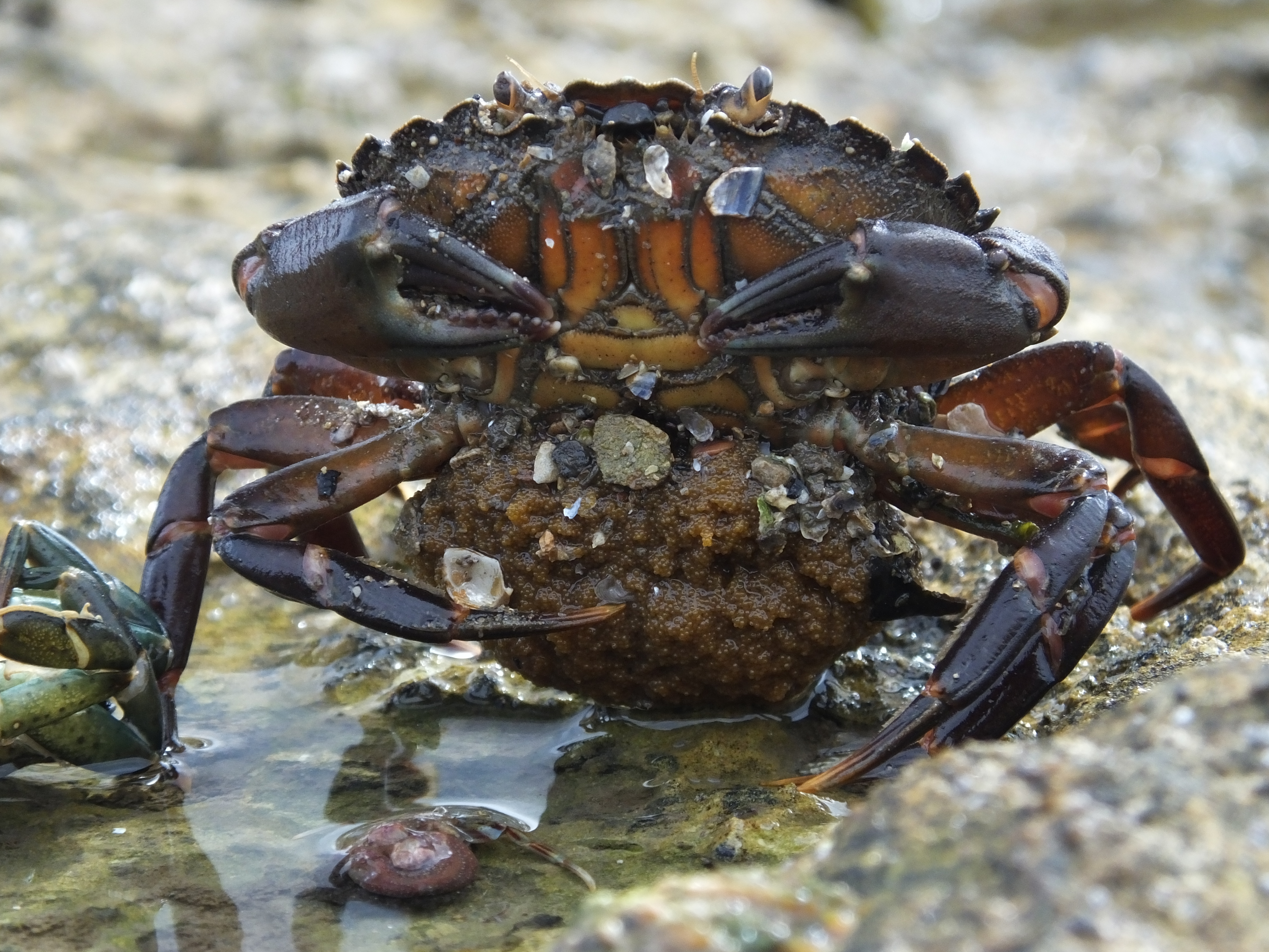 Discovering the Deep Photo Contest Fifteen Eighty Four Cambridge