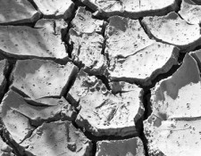 Drought cracked land. Photo: Bert Kaufmann via Creative Commons.
