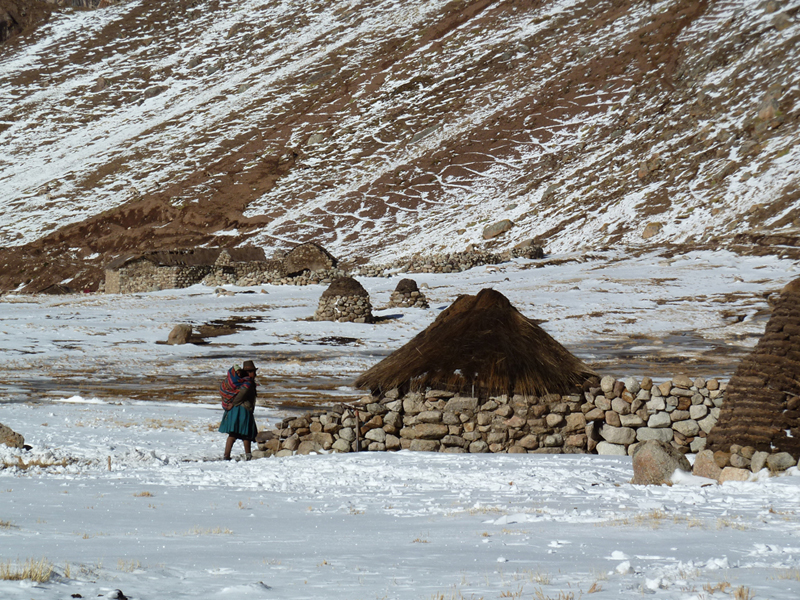 Woman in the Altiplano of Peru (at close to 5000 m asl), after fresh snowfall, reaching a temporary hut
