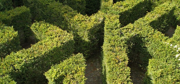 Hampton Court Maze. Photo: Amanda Slater via Creative Commons.