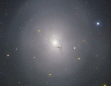 GW170817 in the galaxy NGC 4993