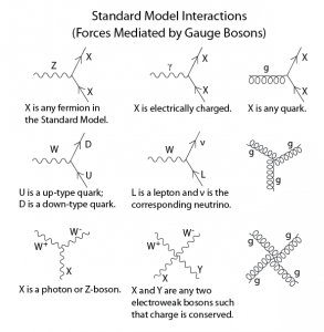 Standard Model Feynman Diagrams