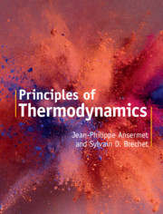 Principles of Thermodynamics by Jean-Philippe Ansermet , Sylvain D. Brechet