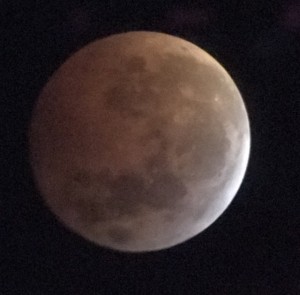 Photograph of a total lunar eclipse taken with using an iPhone and a 6-inch refracting telescope from Georgia, USA on January 20, 2019. Photo credit: Todd Timberlake.