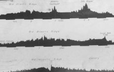 Marie Tharp’s transatlantic profiles with her annotations of the Mid-Atlantic Ridge and its central valley. Acknowledgement: US Library of Congress. Simon Mitton.